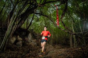 BIB: 
                            <button type="button" onclick="openModal(22177685)" class="btn btn-primary btn-sm float-right btn-popup" data-toggle="modal" data-target=".modal-high-quality">
                        <i class="fas fa-shopping-cart"></i> Add to Cart
                    </button>
                                            <button type="button" onclick="isThisMe(22177685, true)" class="btn btn-success btn-sm float-right btn-popup btn-isme hidden" data-toggle="tooltip" data-placement="bottom" title="นี่คือรูปของคุณใช่ไหม คลิกที่นี่เพื่อเอาเข้าอัลบั้ม">
                        <i class="fas fa-plus"></i> Add to album
                    </button>
                    <button type="button" onclick="isThisMe(22177685, false)" class="btn btn-warning btn-sm float-right btn-popup btn-isnotme hidden">
                        <i class="fas fa-ban"></i> Remove from album
                    </button>